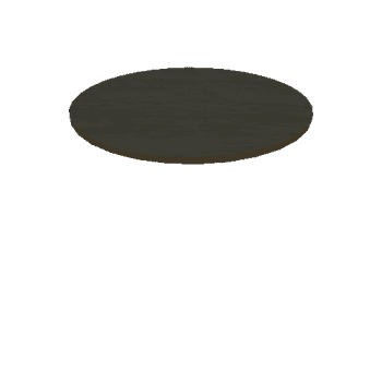 Sharp Wooden Plate 2M Circle_1